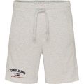 Tommy Jeans short - modern fit - grijs