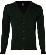 Nils vest - slim fit - groen